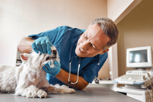 Dentist for Dental Trauma in KS